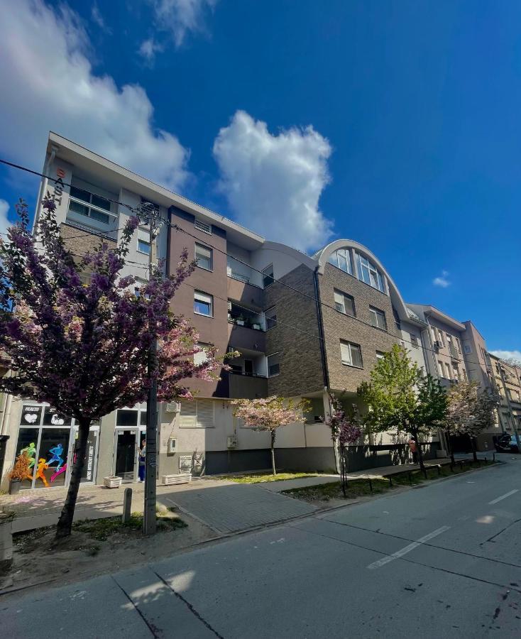 Yellow Ns Apartment Novi Sad Exterior photo